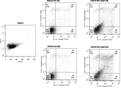Figura 14  Valutazione  dei  livelli  di  apoptosi,  mediante  Annexin V/PI  double staining  ,  in cellule  DLD1  ed 