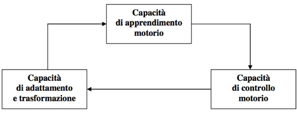 Figura 2.4: Segmentazione delle abilit` a coordinative