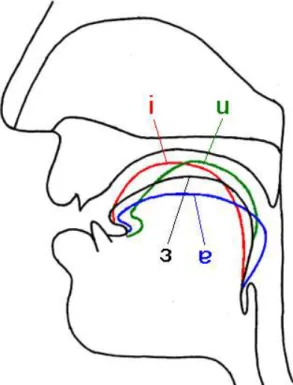 Tabella 1.1: Frequenza dei primi tre formanti delle vocali italiane; le ultime due colonne si riferiscono alla  versione “aperta” di [æ] e [o]