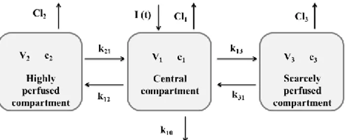 Fig 2. A schematic of the three-compartmental model. 