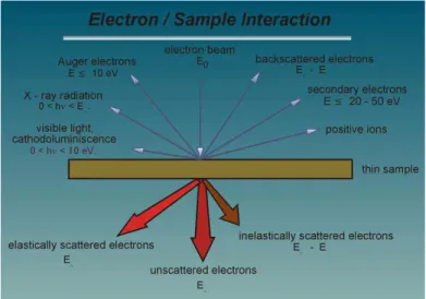 Figure  8 Signals  generated  when  a  high-energy  beam  of  electrons  interacts with a thin specimen
