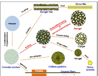 Figure 1.2. General steps involved in the processing of materials using the  sol-gel technology and some possible final products structure