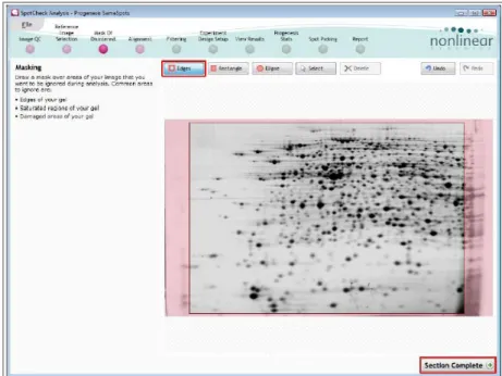 Fig. 11.Page of Progenesis SameSpots. Masked area are evidenced in pink 