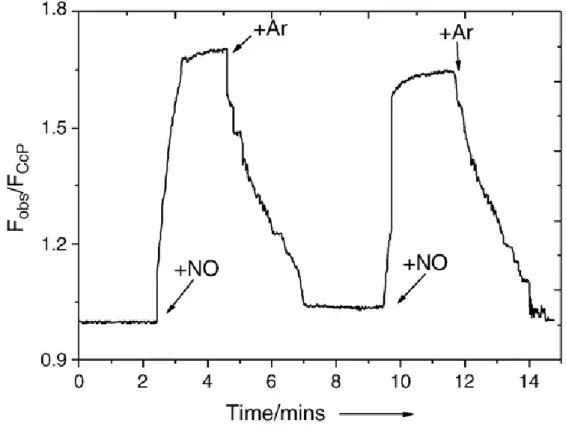 Fig. 9 Room temperature fluorescence intensity time trace observed at 645 nm (exc619 nm) of Atto620  labeled CcP,  upon addition  and removal of NO