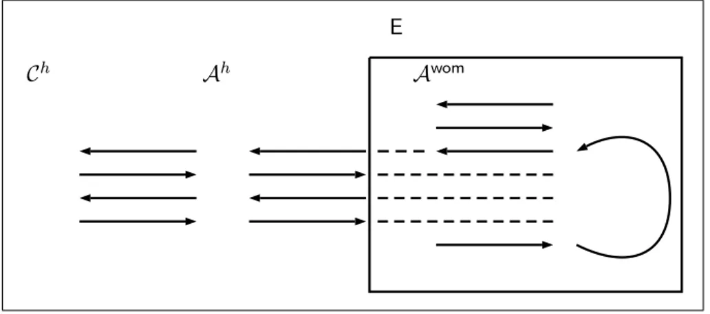 Figure 5.7: During the reduction to the adaptive hiding of Π wom could be required to play the