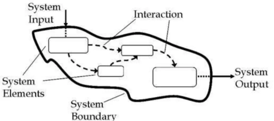 Figura  2.1  Rappresentazione  concettuale  delle  componenti  principali  di  un  sistema complesso (Giannino, 2008) 