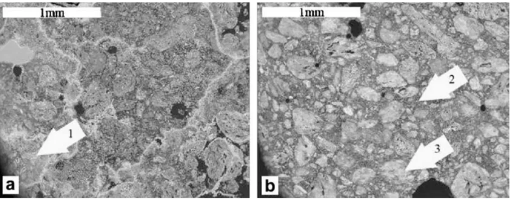 Figure  3.4  BSE  image  of  (a)  accelerated  carbonated  pellets  (b)  naturally  carbonated pellets (Gunning et al., 2009)
