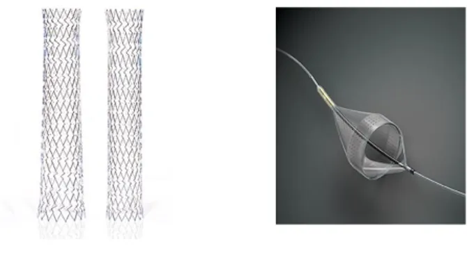 Figure 1: a) XACT Carotid Stent in both tapered and  straight configurations; b) Emboshield NAV filtration 