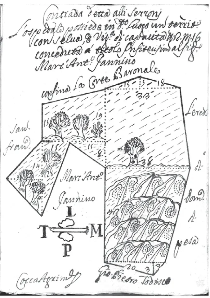 Fig. 6 -  Bartolomeo Cocca, Pianta di un territorio (Contrada detta alli Serroni), s.d