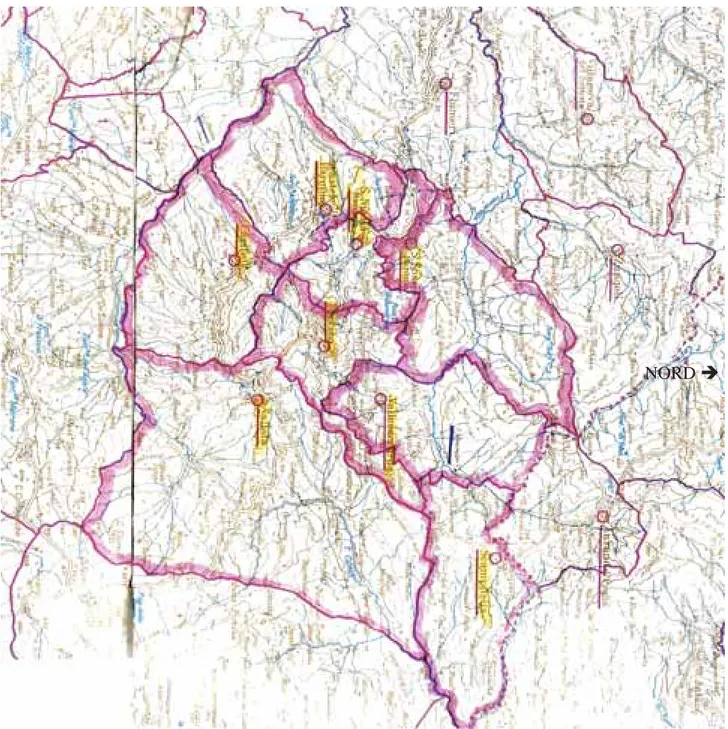 Fig. 2 - La ripartizione dell’ex Circondario di Castelbaronia secondo il perimetro dei comuni attuali e la sagoma che ne deriva.