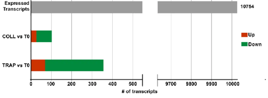 Figura  11.  Effetti  dell’attivazione  ex  vivo  con  COLL  e  TRAP  sul  trascrittoma  piastrinico