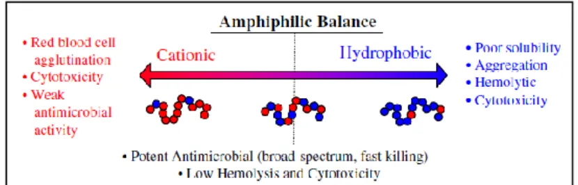 Figura  5-  Effetti  legati  alla  modifica  del  bilancio  anfifilico  sull’attività  emolitica  e  citotossica  dei  polimeri  biocidi antimicrobici (Palermo et al., 2010)