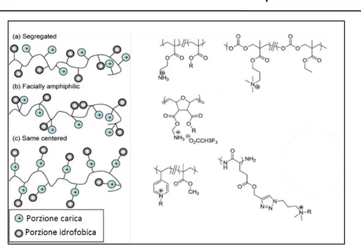 Figura  8-  Architetture  polimeriche  comunemente  utilizzate  per  preparare  polimeri  biocidi  antimicrobici  (Ganewatta et al,