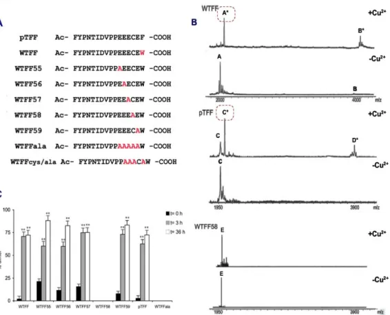 Figura 1.15 A: Peptidi sintetici rappresentativi degli ultimi 16 amminoacidi della proteina
