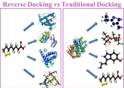 Fig.  19:  Rappresentazione  schematica  del  docking  inverso  (sinistra)  e  del  docking  molecolare  (destra)  [Scafuri et al., 2015]