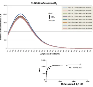 Fig. 22: Spettro di fluorescenza tra NLGN4X e aflatossina B2. 