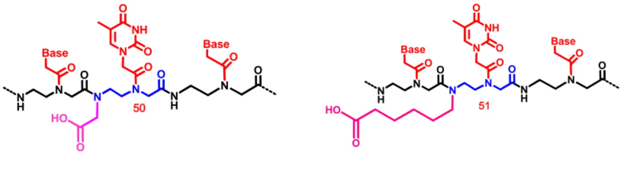 Figure 1.27. Modified PNA. 