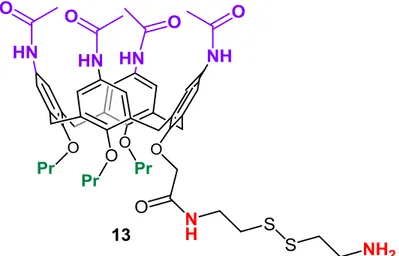 Figure 3.4 p-acetamidocalix[4]arene 13. 