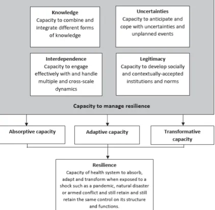 Fig. 1 – A conceptual framework of the dimensions of resilience governance 