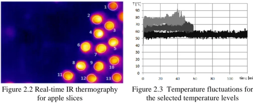 Figure 2.2 Real-time IR thermography  for apple slices 
