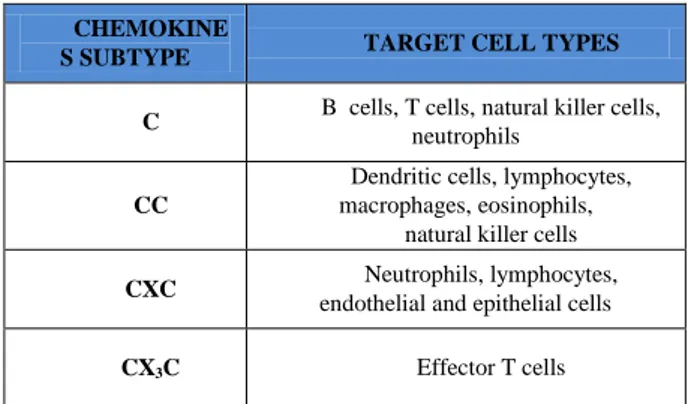 Table 1. List of chemokines subfamilies and their specific target  cell types 