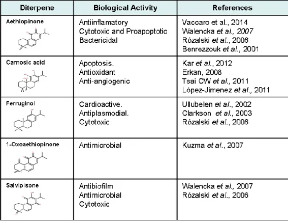 Table 1.1 Biological activity from different abietane diterpenes synthesized in the roots of S