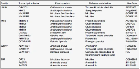 Table 1.2.    Transcription  factors  employed  in  the  engineering  of  plant  metabolic  pathways (from Jirschitzka et al., 2013) 