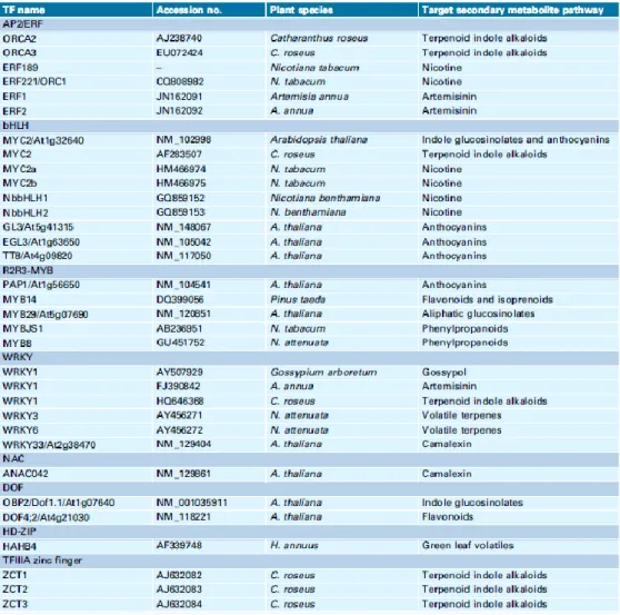 Table 1.3   Overview  of  TFs  recruited  by  JA  signalling  to  steer  secondary  metabolites  biosynthesis (from De Geyter et al., 2012) 