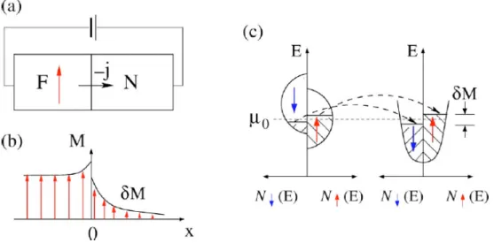 Figura 1.5: Iniezione di spin da un ferromagnete (F) ad un metallo normale (N). (a) Geometria schematica del sistema F/N