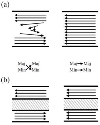 Figura 1.14: (a) domain-wall. (b) GMR a tre strati. Nella zona centrale gli eetti magnetici si compensano e ciò rende assimilabile il domain-wall ad una spin-valve.