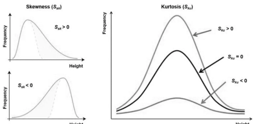 Figure III.15: Illustration of the skewness and kurtosis values and how they 