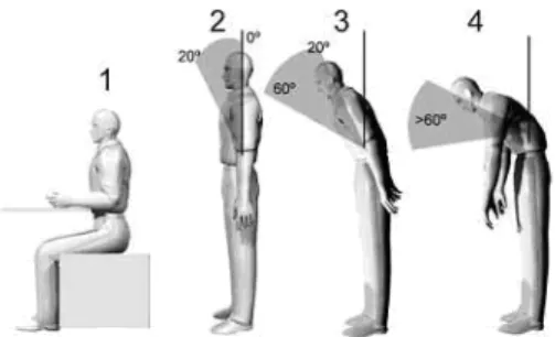 Figura 2.18; RULA, range angolari e punteggi di comfort per il tronco. 