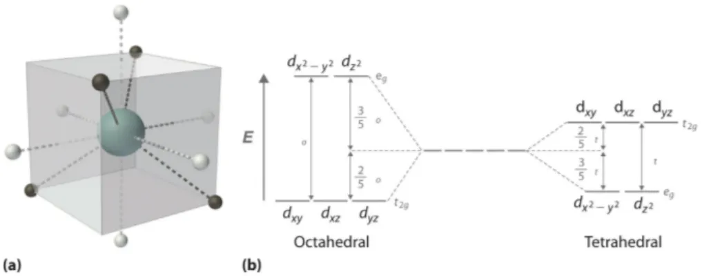 Figure 2.3: (a) Schematical representation of a TM ion in an octahedral (white) and tetrahedral (grey) environment and (b) the relative crystal eld splittings