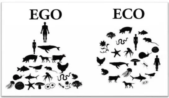 Fig. 1 – Dal modello egologico a quello ecologico sociale 