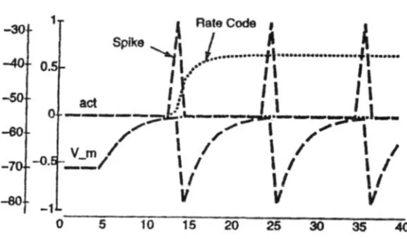 Figura 2.8: Confronto tra le funzioni d’attivazione a spikes discreti e a rate-code. 