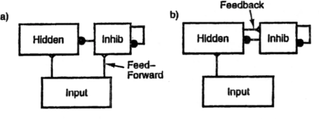 Figura 2.10: i due tipi base di connettività inibitoria.(a) inibizione feed-forward guidata dall’attività dello 