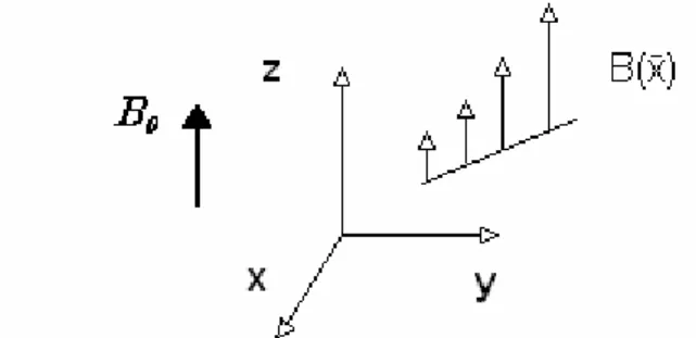 fig 5.2 viene applicato un gradiente al campo magnetico statico B 0
