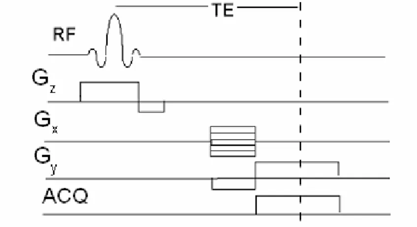 Fig 5.4 sequenza gradient echo 