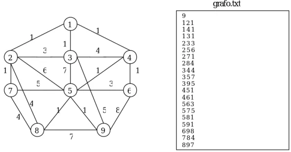 fig 2: descrizione del grafo nel file grafo.txt 