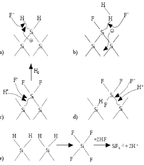 Figura 2.5: Modello di Lehmann e Gosele per la dissoluzione del silicio in soluzioni di HF