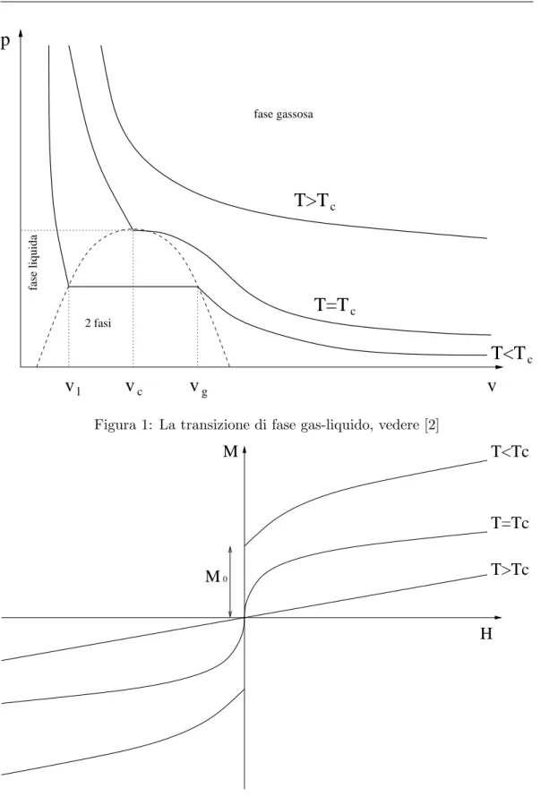 Figura 1: La transizione di fase gas-liquido, vedere [2]