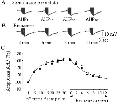 Fig. 8: A) La stimolazione della cellula T con 30 treni di impulsi depolarizzanti della  durata di 3 sec producono un aumento dell’ampiezza della AHP, misurata  dalla linea di base al picco dell’iperpolarizzazione