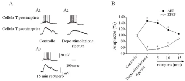Fig. 9:  A) Singole tracce ottenute da una coppia di neuroni T. La sinapsi è stata 