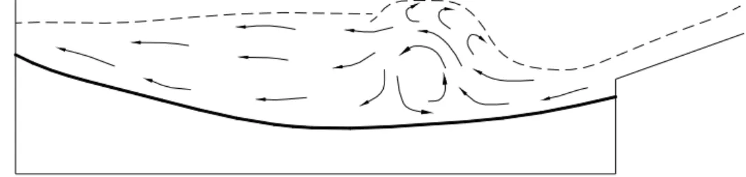 Figura 9.3.5  Irripidimento del risalto wave 