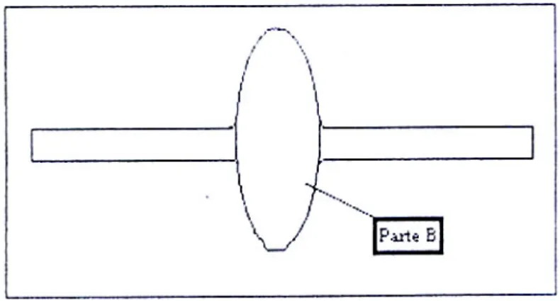 Fig. 3.2.1.3 Schematizzazione di un provino Gleeble. La parte B indica la porzione che ha subito  deformazione omogenea 