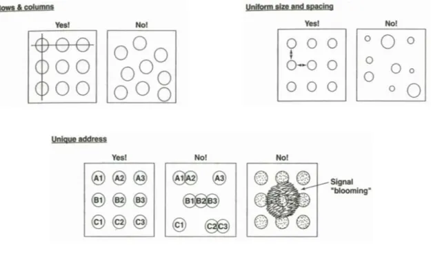 Figura 1.6: Microarray ordinato. 