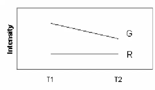 Figura 5.1: Schematizzazione dell’effetto combinato DV 