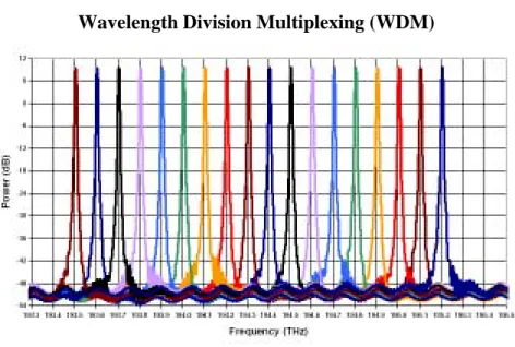 Figura 1.1 Esempio di spettro di potenza del campo di una  fibra su cui è implementata una multiplazione WDM
