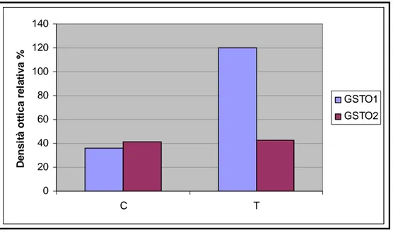 Figura 10. Analisi densitometrica delle bande relative al mRNA della GSTO1 e della  GSTO2 ottenute da 2 esperimenti analoghi a quello  riportato in Fig