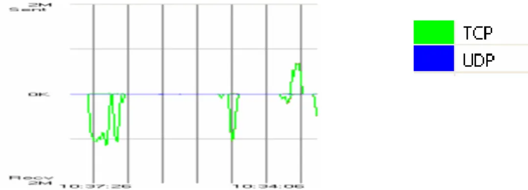 Diagramma 4 .27 Throughput in bytes/sec in ingresso e uscita durante il trasferimento dei file 